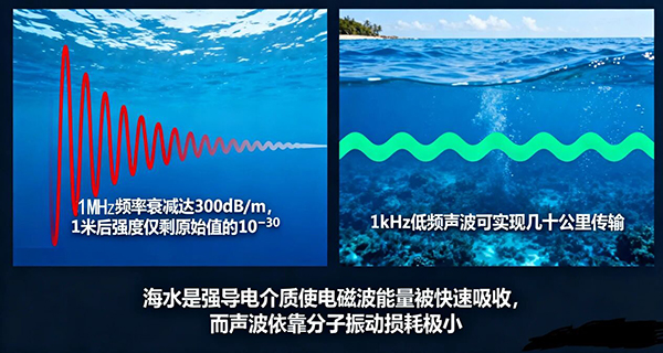 1765360531304007.jpg 20251201-03.jpg