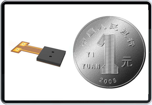 1765361230695699.jpg 202512051013-01021.jpg